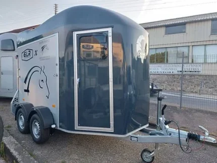 Acquista van cavalli Cheval Liberté Gold 3 usato
