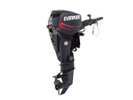 Evinrude E25GTEL E TEC Outboard Motor