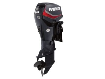 Evinrude E50DPGL E TEC Outboard Motor