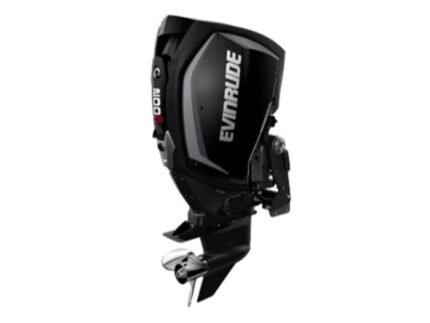 Evinrude H200HGLF 200 HO Outboard Motor