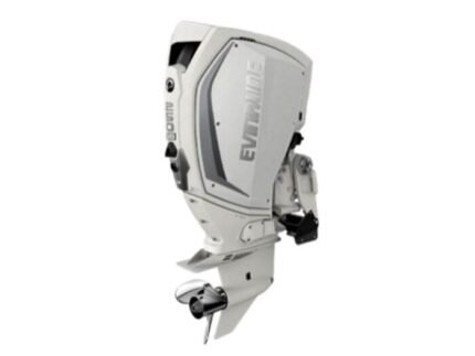 Evinrude H250WXCA 250 HO Outboard Motor