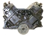 VEGE DF13 Remanufactured 5.0L/302 Long Block Crate Engine – Ford Windsor V8 - nhraceengine.nl